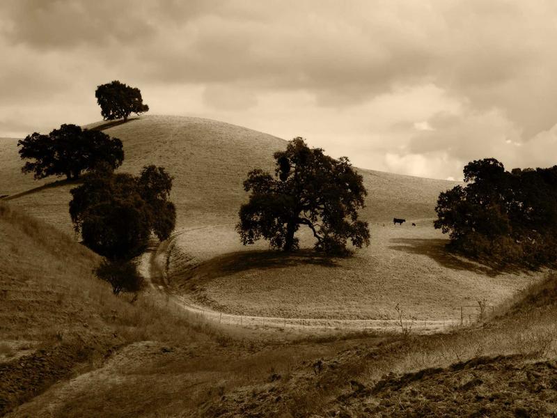 sudoku even odd sudoku