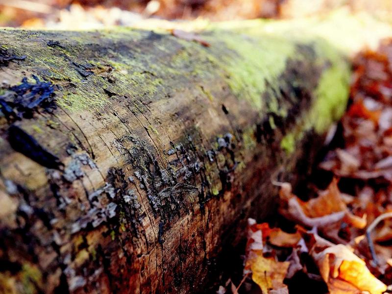 sudoku android app screenshot 1